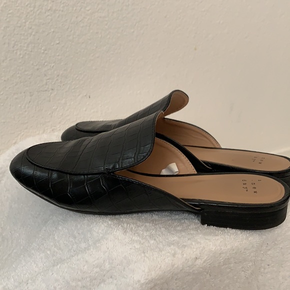 A New Day black slides - Picture 5 of 12